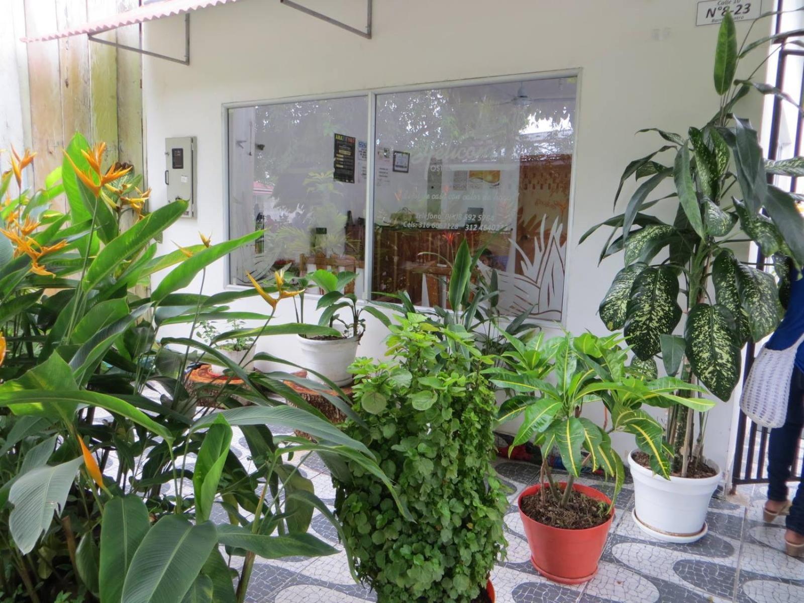 Hotel Heliconias Leticia Ngoại thất bức ảnh
